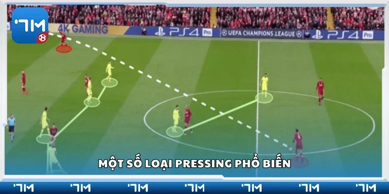 Các loại pressing phổ biến