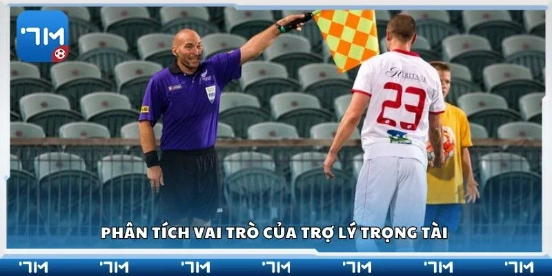 Phân tích vai trò của trợ lý trọng tài