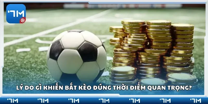 Lý do gì khiến bắt kèo đúng thời điểm quan trọng?