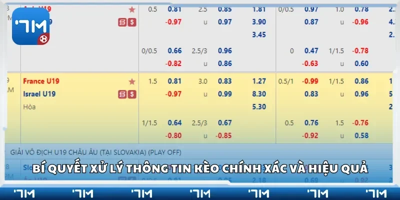 Bí quyết xử lý thông tin kèo chính xác và hiệu quả