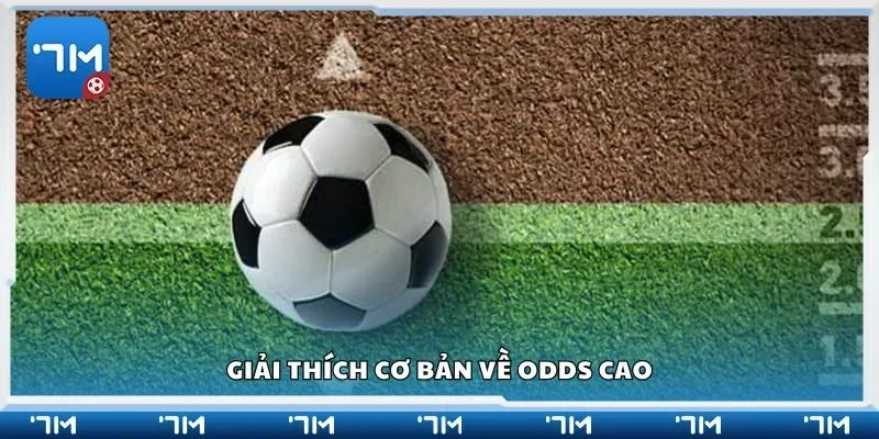 Giải thích cơ bản về Odds cao