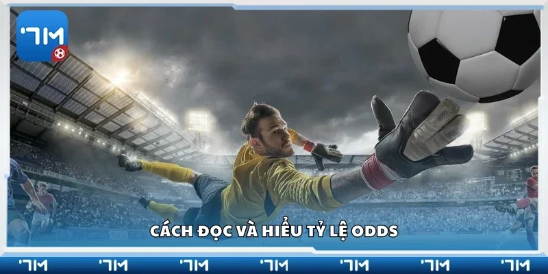 Hướng dẫn cách đọc và hiểu tỷ lệ odds