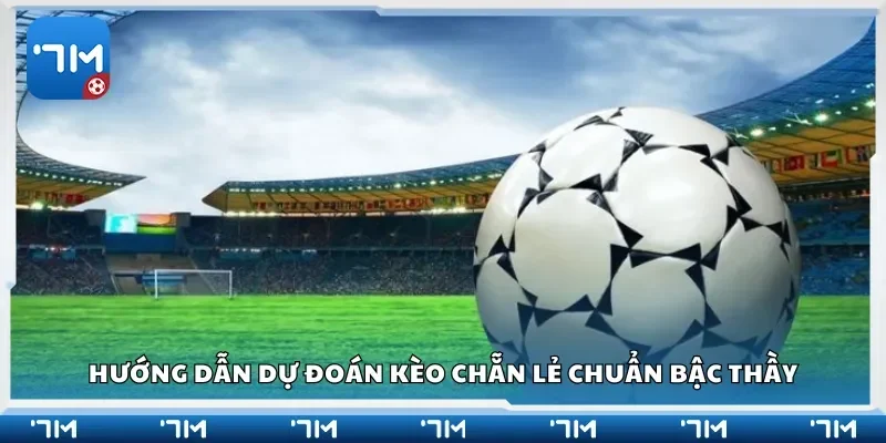 Hướng dẫn dự đoán kèo chẵn lẻ chuẩn bậc thầy