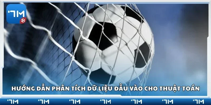 Hướng dẫn phân tích dữ liệu đầu vào cho thuật toán