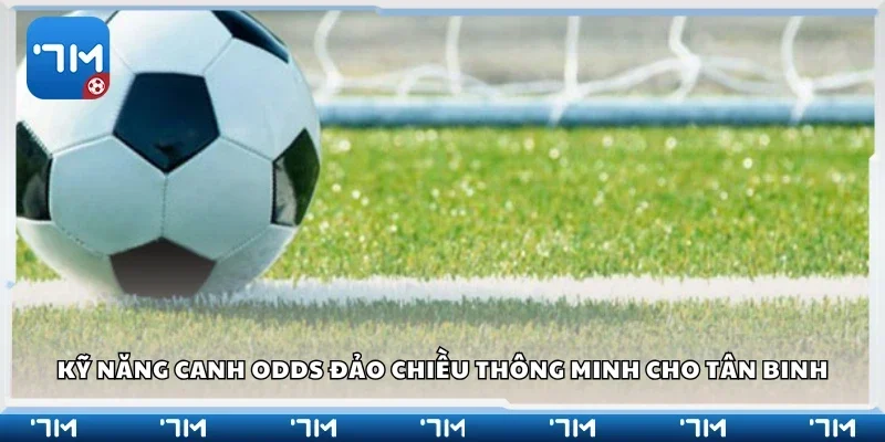 Kỹ năng canh odds đảo chiều thông minh
