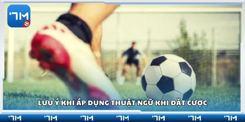 Lưu ý khi áp dụng thuật ngữ khi đặt cược