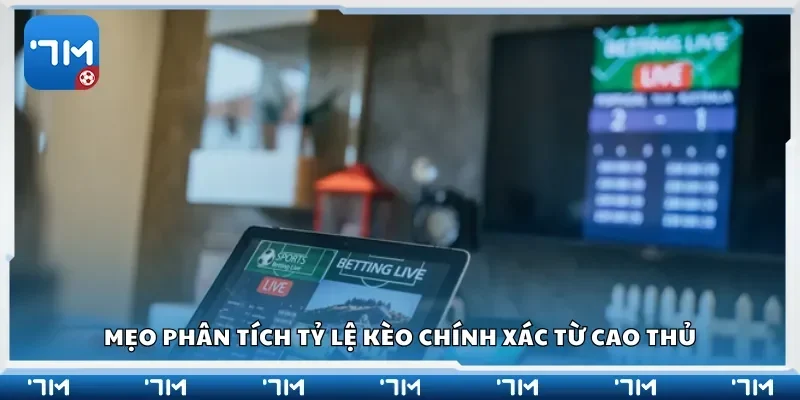 Mẹo phân tích tỷ lệ kèo chính xác từ cao thủ