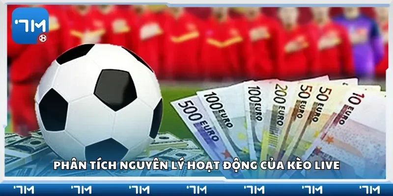 Phân tích nguyên lý hoạt động của kèo live
