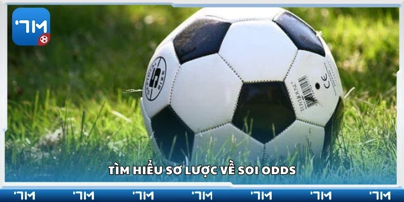 Vài nét sơ lược về soi odds