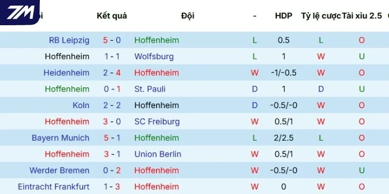 Chuỗi trận gần đây của Hoffenheim