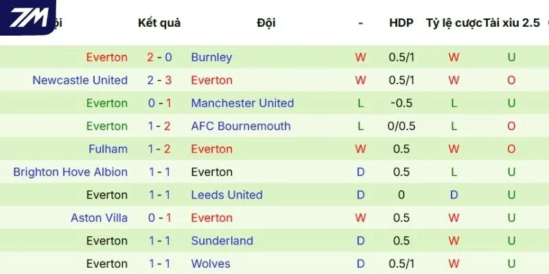 Hiệu quả thi đấu gần đây của Everton