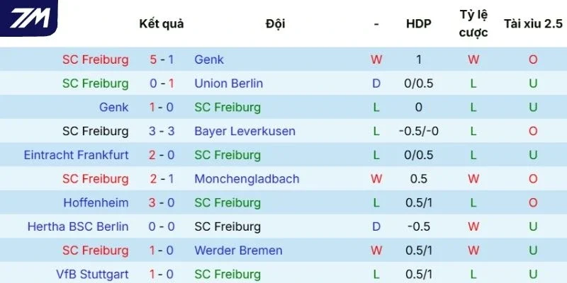 Phong độ thi đấu gần đây của Freiburg