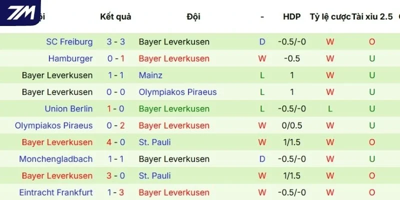 Phong độ thời gian gần đây của Bayer Leverkusen 