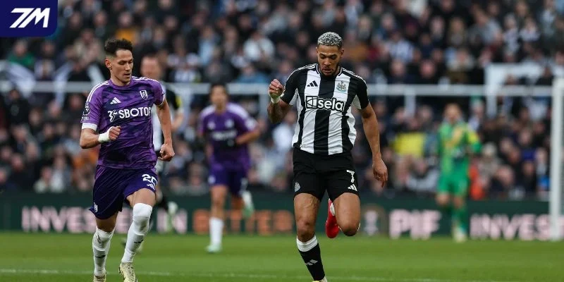 Phân tích tỷ lệ kèo Fulham vs Newcastle United